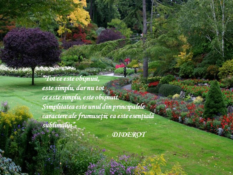 “Tot ce este obişnuit,  este simplu, dar nu tot  ce este simplu,